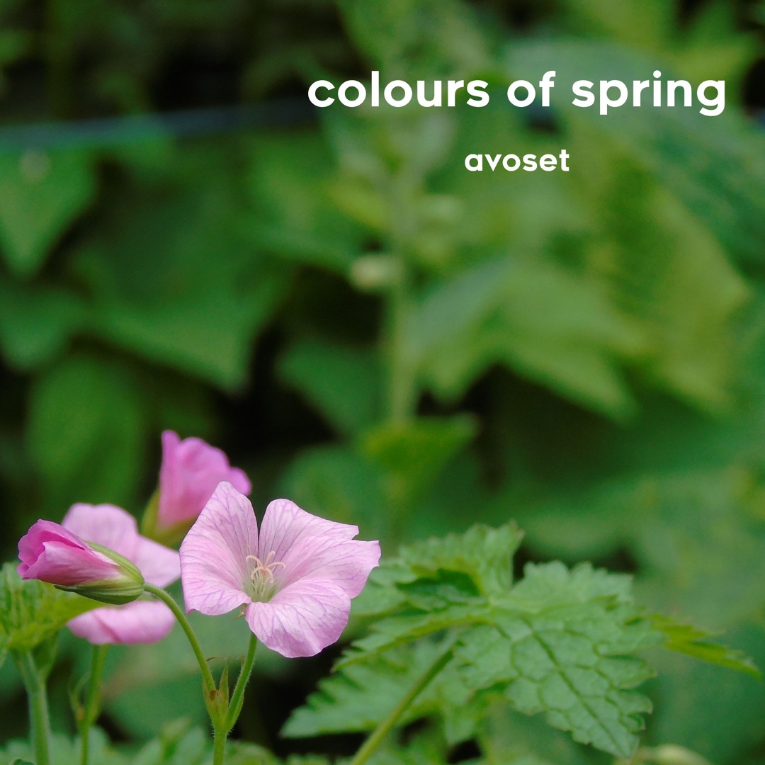 cover for colours of spring